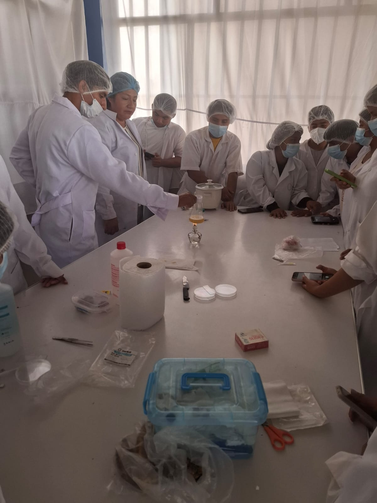 Industrias Alimentarias